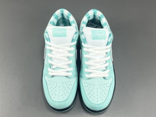 Concepts x NK SB Dunk Low - Image 4