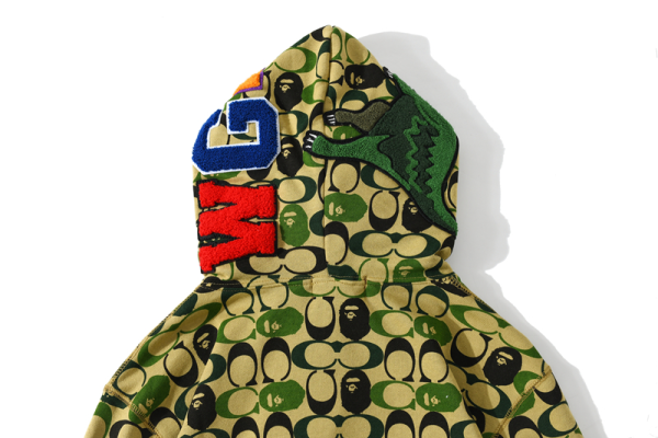 BAPE Dinosaur Collaboration Camouflage Hoodie - Image 7