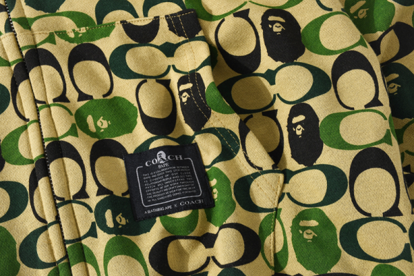 BAPE Dinosaur Collaboration Camouflage Hoodie - Image 9