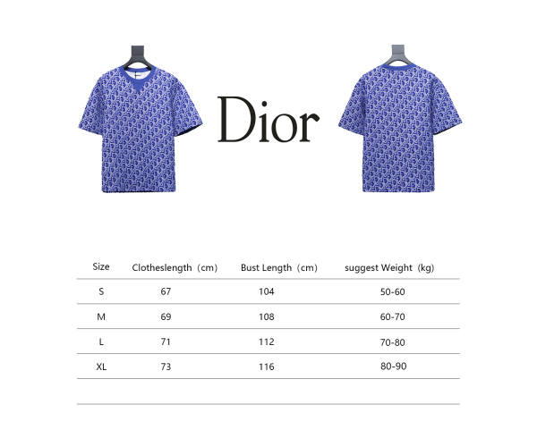 Dior Oblique Relaxed Fit T Shirt Terry Cotton Jersey Blue - Image 2