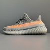 Adidas Yeezy Boost 350 V2
