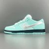 Concepts x NK SB Dunk Low