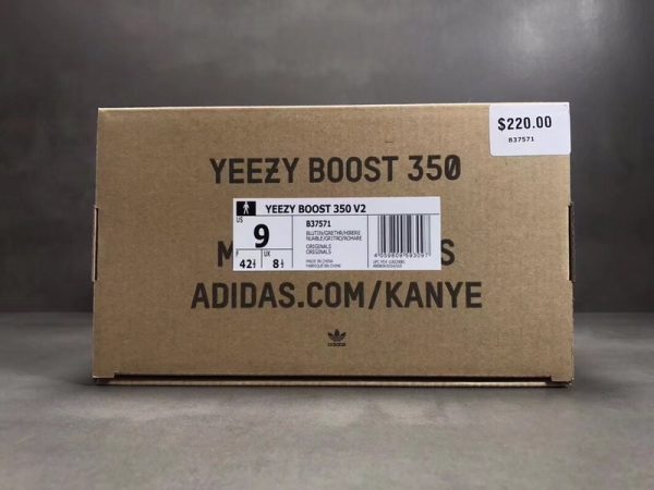 Yeezy Boost 350 V2 ‘Blue Tint’ - Image 10